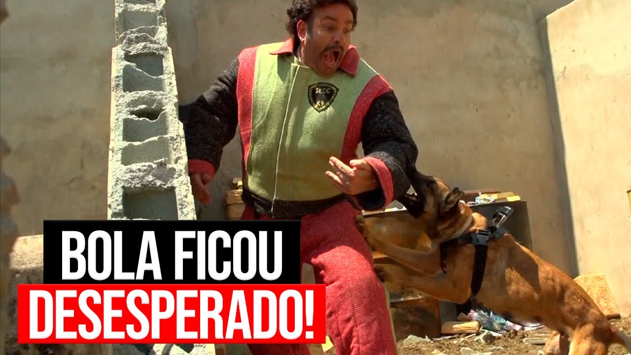 BOLA FOI ATACADO POR UM CACHORRO FEROZ, PEDRINHO CHOROU E+ | Dramaturgia Escobar #06