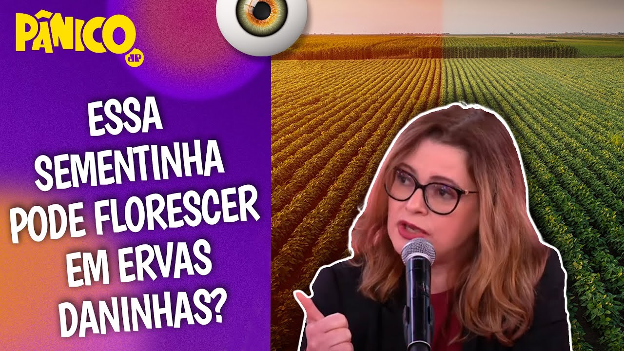 AMOR E ÓDIO PELO AGRO É O QUE EQUILIBRA AS EXTREMAS DIREITA E ESQUERDA? Sofia Manzano analisa