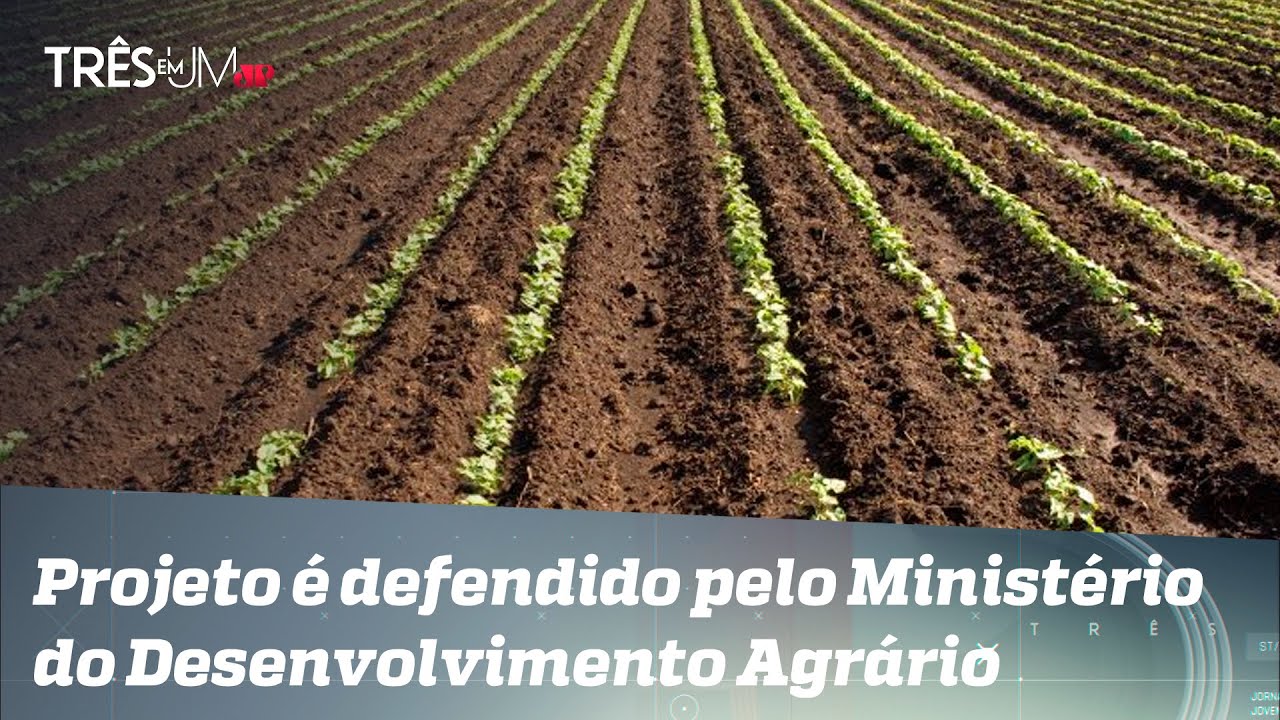Devedores vão fornecer terras para assentamentos da Reforma Agrária
