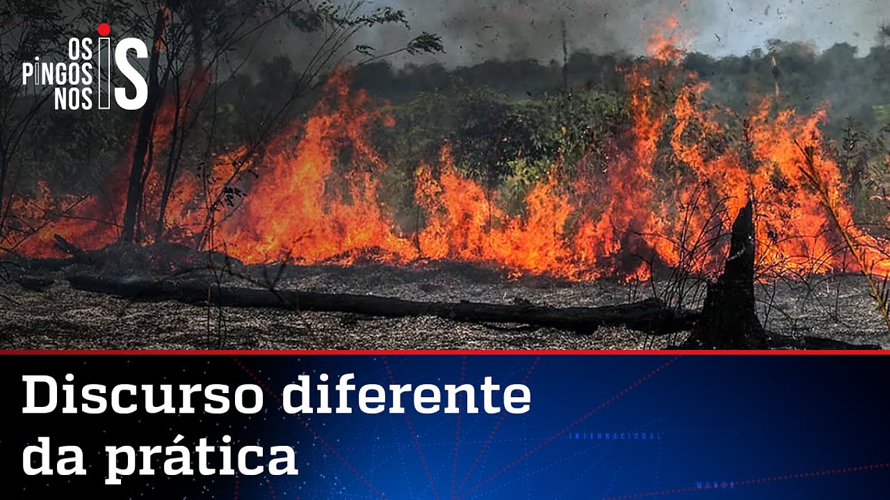 Governo Lula bate recorde em queimadas na Amazônia